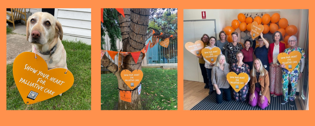 Show Your Heart For Palliative Care Picsa
